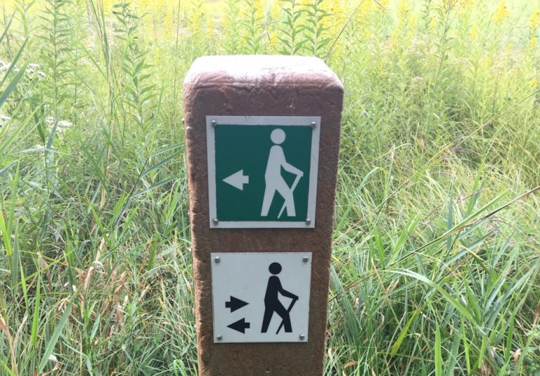 Quiz What is the best smart bike trainer for you? SMART Bike Trainers